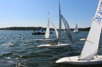 IMG_1464.jpg