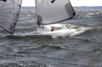 Hasse-2-.jpg