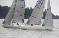 Fia Stellan.jpg