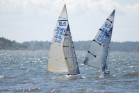 DSC_8564.jpg